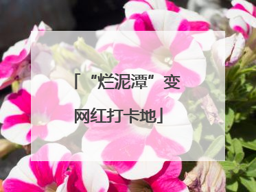 “烂泥潭”变网红打卡地
