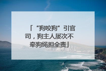 “狗咬狗”引官司，狗主人屡次不牵狗绳担全责