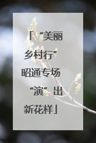 “美丽乡村行”昭通专场“演”出新花样