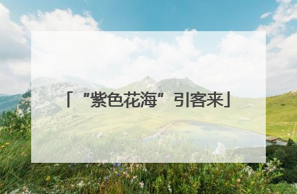 “紫色花海”引客来