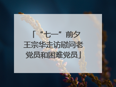 “七一”前夕 王宗华走访慰问老党员和困难党员