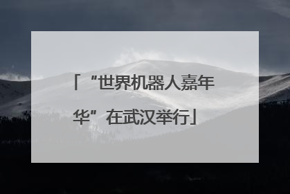 “世界机器人嘉年华”在武汉举行