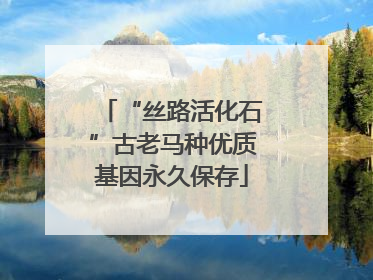 “丝路活化石”古老马种优质基因永久保存