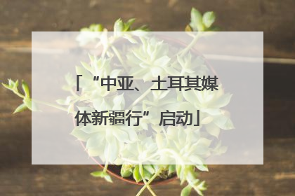 “中亚、土耳其媒体新疆行”启动