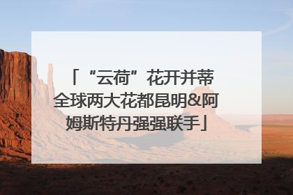 “云荷”花开并蒂 全球两大花都昆明&阿姆斯特丹强强联手