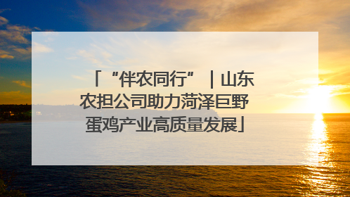 “伴农同行”｜山东农担公司助力菏泽巨野蛋鸡产业高质量发展