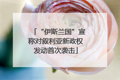 “伊斯兰国”宣称对叙利亚新政权发动首次袭击