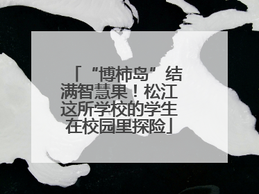 “博柿岛”结满智慧果！松江这所学校的学生在校园里探险