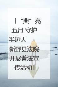“典”亮五月 守护半边天——新野县法院开展普法宣传活动