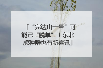 “完达山一号”可能已“脱单”！东北虎种群也有新喜讯