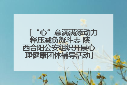 “心”意满满添动力 释压减负凝斗志 陕西合阳公安组织开展心理健康团体辅导活动