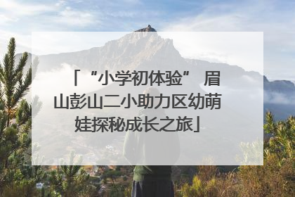 “小学初体验” 眉山彭山二小助力区幼萌娃探秘成长之旅