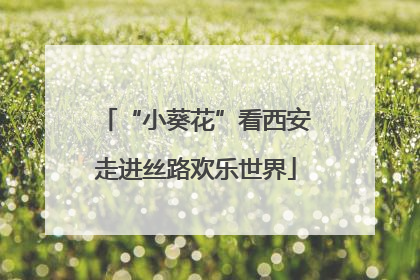 “小葵花”看西安走进丝路欢乐世界