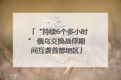 “持续6个多小时” 俄乌交换战俘期间互袭首都地区
