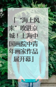 “海上风来”吹进京城！上海中国画院中青年画家作品展开幕