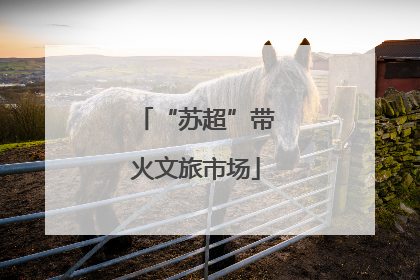 “苏超”带火文旅市场
