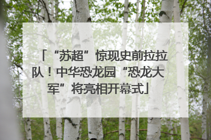“苏超”惊现史前拉拉队！中华恐龙园“恐龙大军”将亮相开幕式