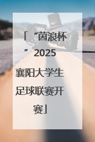 “茵浪杯”2025襄阳大学生足球联赛开赛