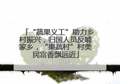 “蔬果义工”助力乡村振兴，归国人员反哺家乡，“果蔬村”村美民富香飘远近