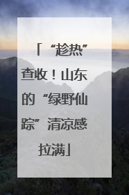“趁热”查收！山东的“绿野仙踪”清凉感拉满