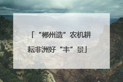 “郴州造”农机耕耘非洲好“丰”景