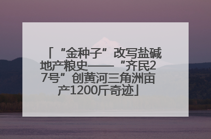 “金种子”改写盐碱地产粮史——“齐民27号”创黄河三角洲亩产1200斤奇迹