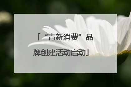 “青新消费”品牌创建活动启动