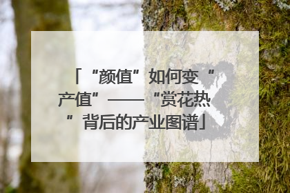 “颜值”如何变“产值”——“赏花热”背后的产业图谱