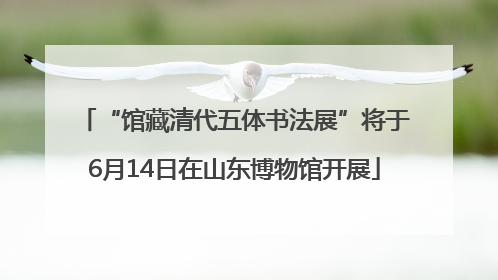 “馆藏清代五体书法展”将于6月14日在山东博物馆开展