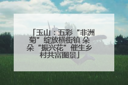 玉山：五彩“非洲菊”绽放横街镇 朵朵“振兴花”催生乡村共富图景