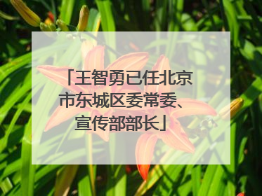 王智勇已任北京市东城区委常委、宣传部部长
