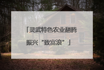 灵武特色农业翻腾振兴“致富浪”