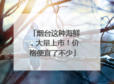 烟台这种海鲜，大量上市！价格便宜了不少