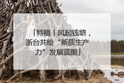 特稿丨风起钱塘，浙台共绘“新质生产力”发展蓝图