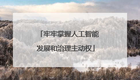 牢牢掌握人工智能发展和治理主动权
