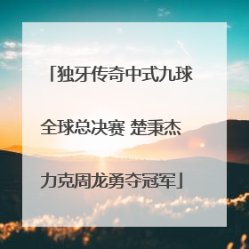 独牙传奇中式九球全球总决赛 楚秉杰力克周龙勇夺冠军