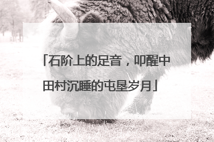 石阶上的足音，叩醒中田村沉睡的屯垦岁月
