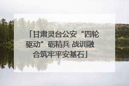 甘肃灵台公安“四轮驱动”砺精兵 战训融合筑牢平安基石