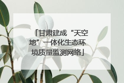 甘肃建成“天空地”一体化生态环境质量监测网络