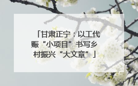 甘肃正宁：以工代赈“小项目”书写乡村振兴“大文章”