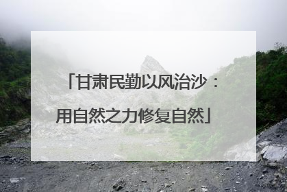 甘肃民勤以风治沙：用自然之力修复自然