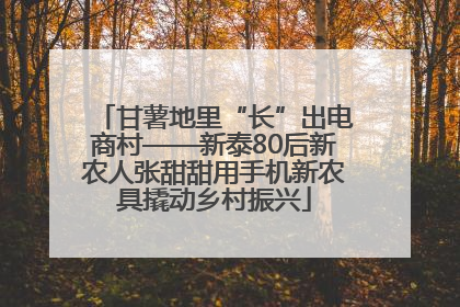 甘薯地里“长”出电商村——新泰80后新农人张甜甜用手机新农具撬动乡村振兴