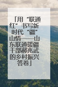 用“联通红”书写新时代“疆”山情——山东联通援疆干部郝兆武的乡村振兴答卷