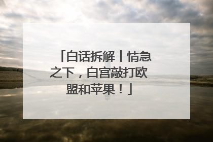 白话拆解丨情急之下，白宫敲打欧盟和苹果！