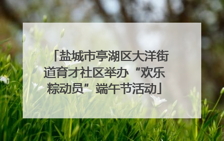 盐城市亭湖区大洋街道育才社区举办“欢乐粽动员”端午节活动