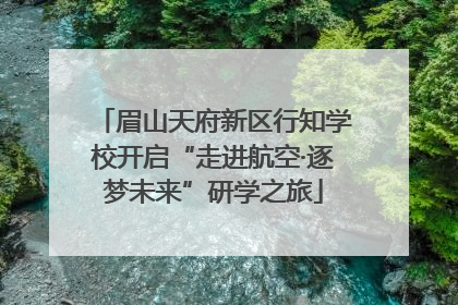 眉山天府新区行知学校开启“走进航空·逐梦未来”研学之旅