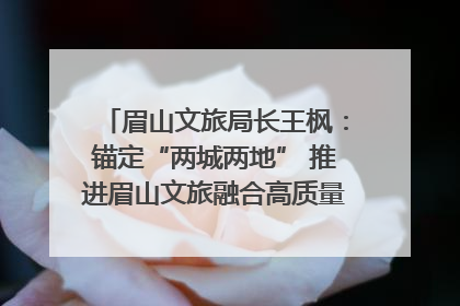 眉山文旅局长王枫：锚定“两城两地” 推进眉山文旅融合高质量发展｜文旅局长说