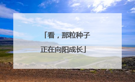 看，那粒种子正在向阳成长