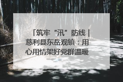 筑牢“汛”防线｜慈利县东岳观镇：用心用情架好党群温暖悠长的“连心桥”