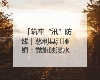 筑牢“汛”防线｜慈利县江垭镇：党旗映溇水 清淤见担当